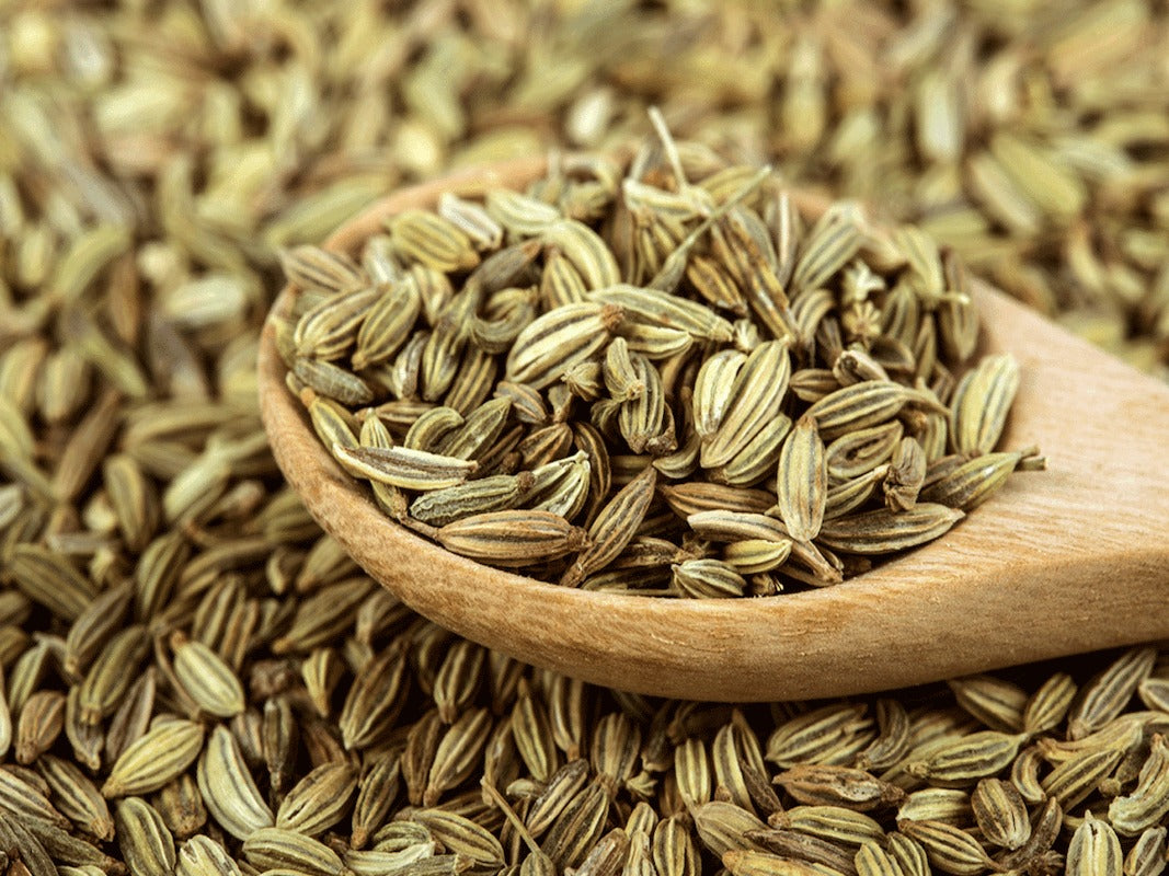 Katoomba Fennel Seed 500 g