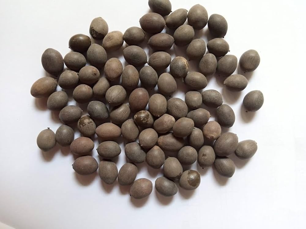 Spark Kamal Gatta 100g