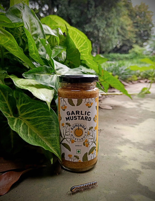 Gajanand Mustard Small 908 g