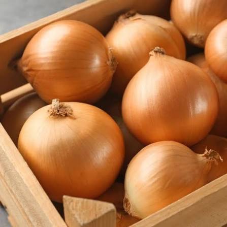 Freshveg Spanish Onion