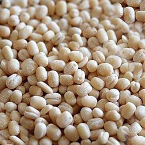 Katoomba Urid Gota 1 kg
