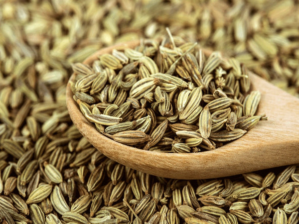 Katoomba Fennel Seed 500 g