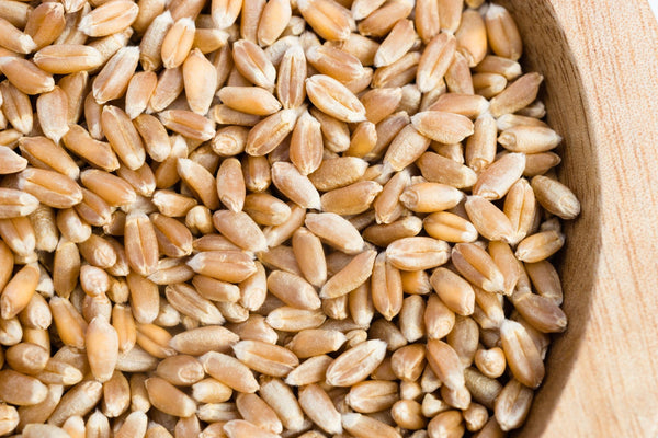 Viya Whole Wheat 1 kg
