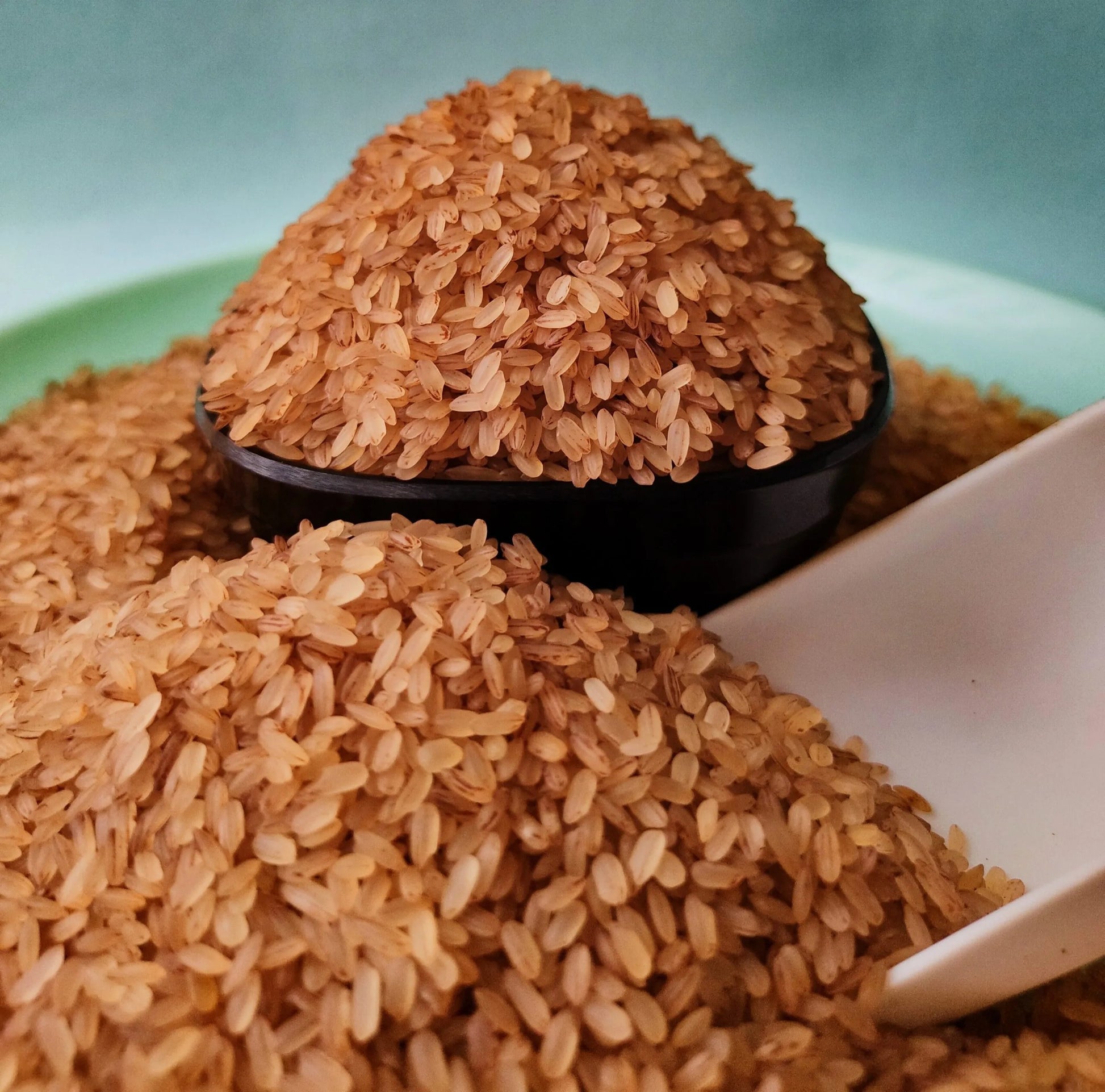Double Horse Vadi Matta Rice 5 kg
