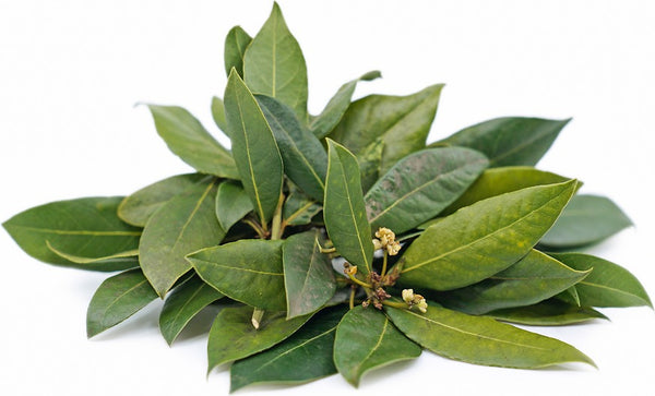 Saurbhi Bay Leaves 100 g