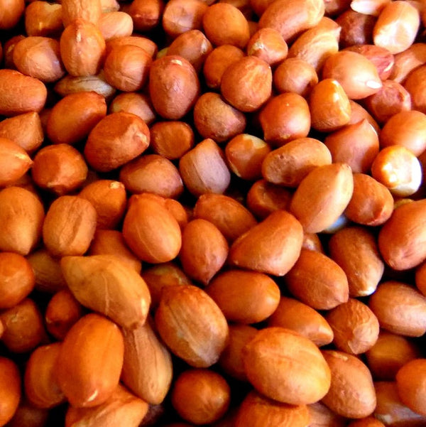 Gajanand Peanut Red Spanish 500 g