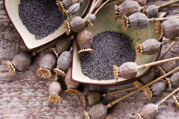 Saurbhi Poppy Seeds 200 g