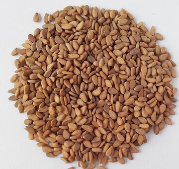 Natives Brown Sesame Seed 500g