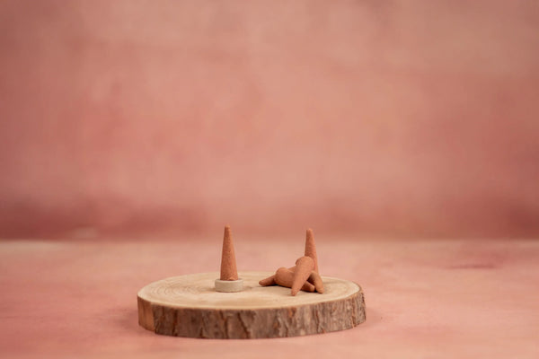 Sf Rajnigandha Cone Dhoop Dabbi 100g